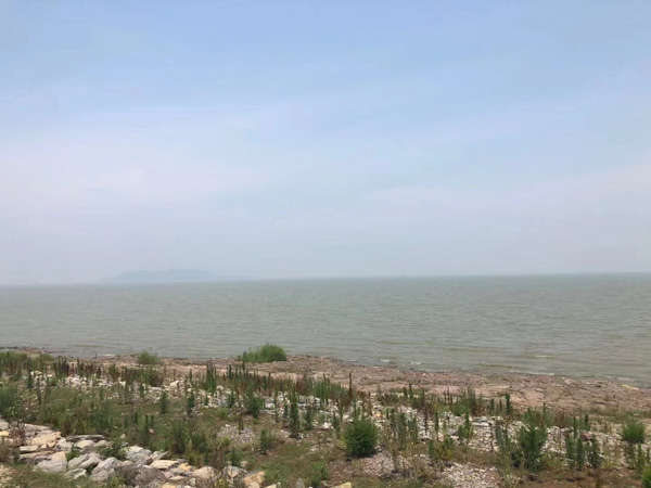 受托人將他人財(cái)產(chǎn)侵占怎么辦？青浦律師咨詢告訴您