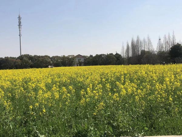 房地產商拒絕承認業主自行買賣樓房怎么辦？上海律師告訴您