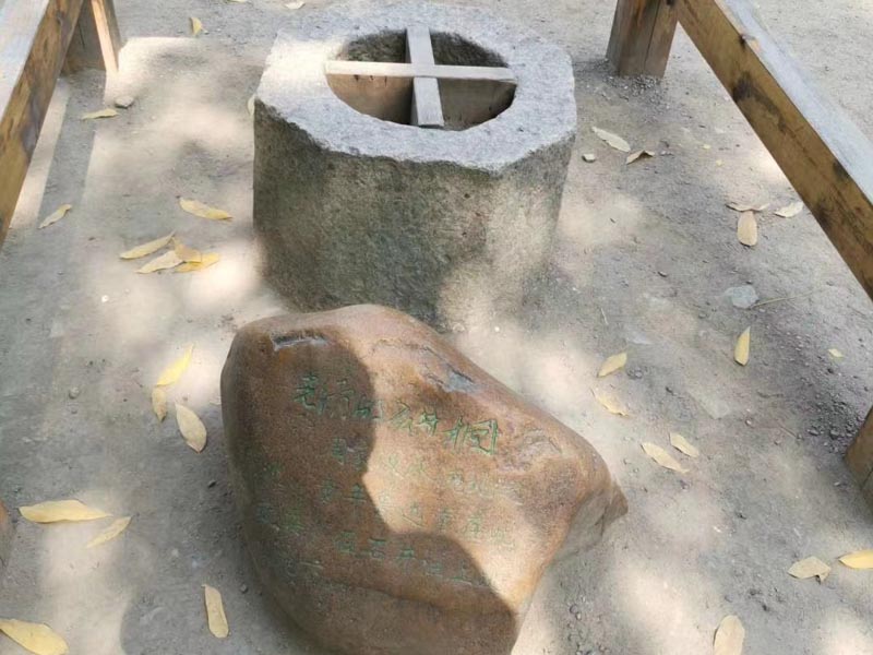 上海法律顧問在線普法：走私文物罪的客觀方面
