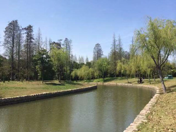 上海股東糾紛律師來講講與公司無勞動關(guān)系的法律顧問如何代理公司訴訟