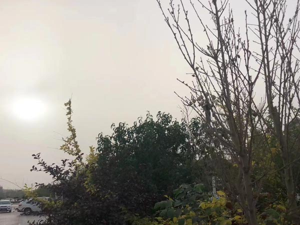 知識產(chǎn)權(quán)糾紛的多元解決途徑有哪些？上海正規(guī)的律師事務(wù)所帶您了解相關(guān)情況