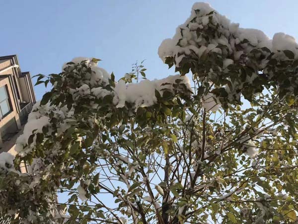 黃浦區律師提醒：在處理親子關系異議時應注意這幾個問題